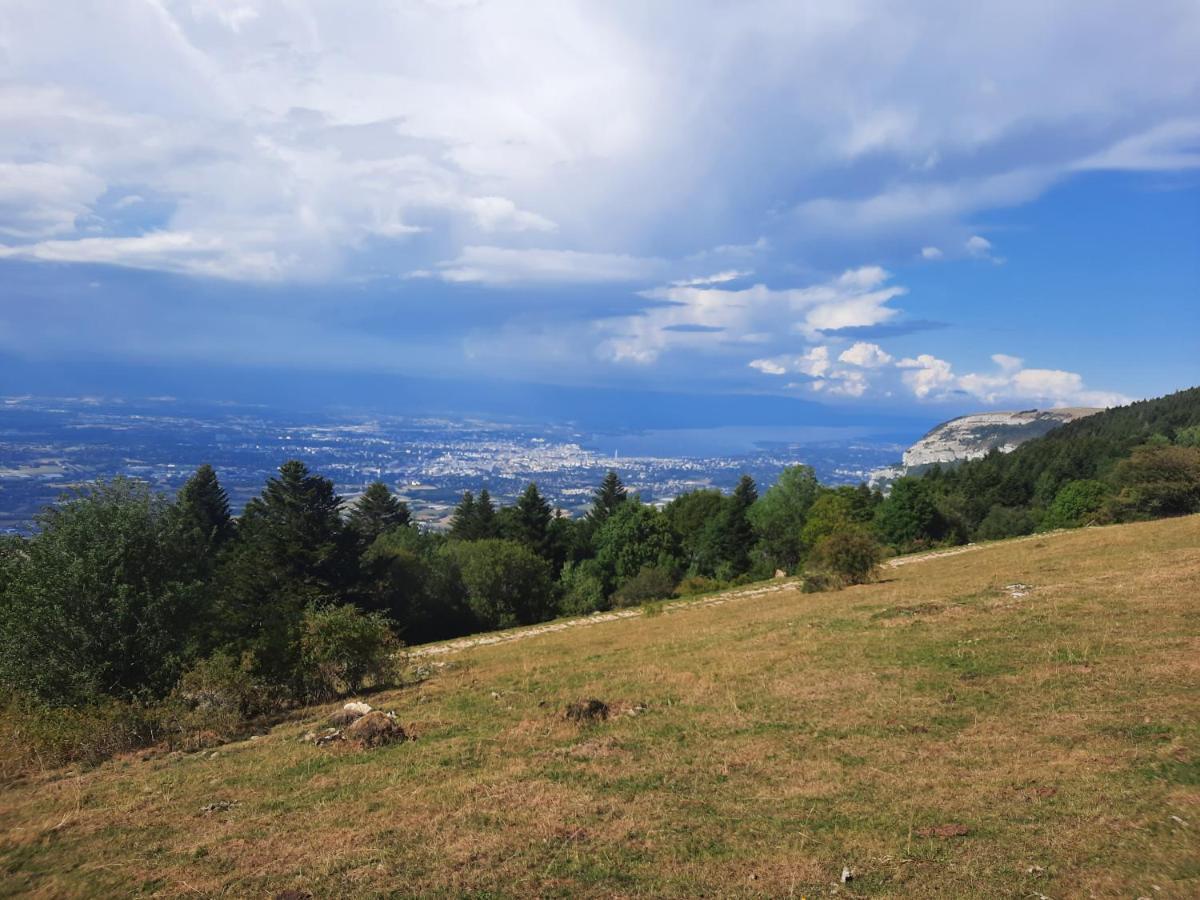 The Originals City, Hotel Rey Du Mont Sion, Saint-Julien-En-Genevois Sud Экстерьер фото