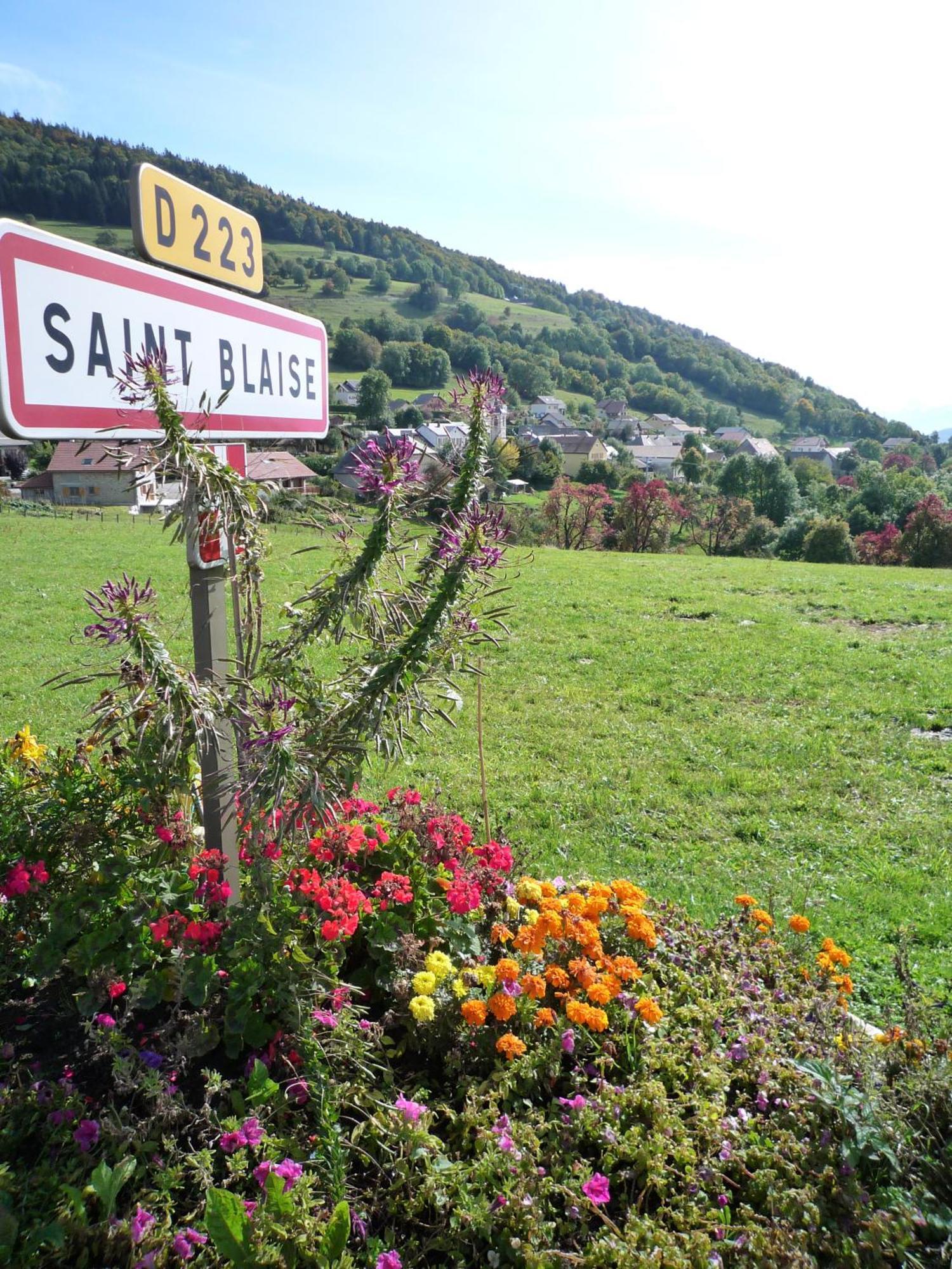 The Originals City, Hotel Rey Du Mont Sion, Saint-Julien-En-Genevois Sud Экстерьер фото